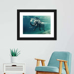 Swimming Elephant Wall Art