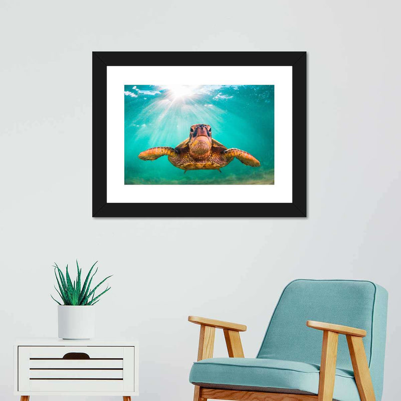 Maui Green Turtle Wall Art