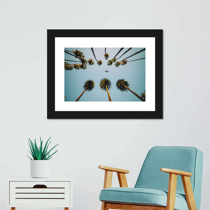 Plane Below Palm Trees Wall Art