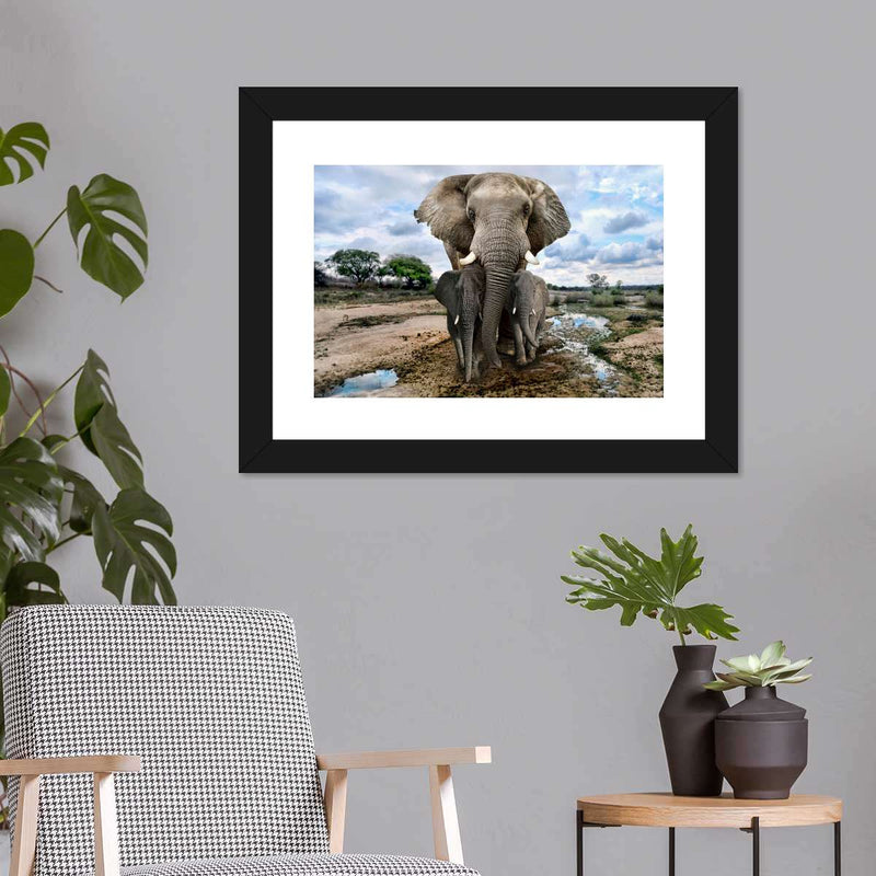 Safari Elephants Wall Art