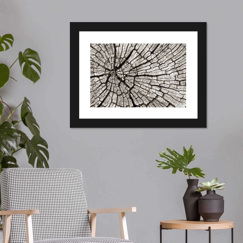 Tree Stump Wall Art