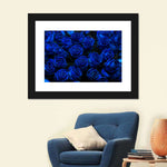 Royal Blue Roses Wall Art