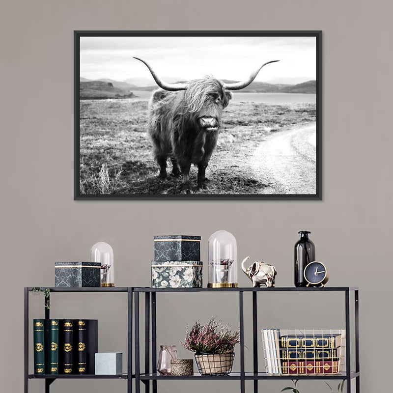 Highland Bull Wall Art