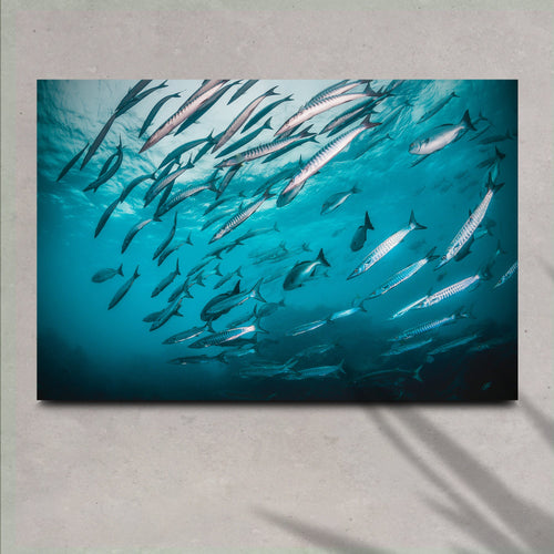 Vibrant Ocean Fish Canvas Wall Art
