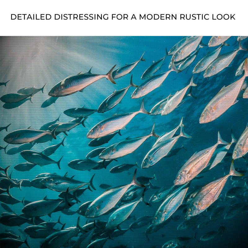 Vibrant Ocean Fish Canvas Wall Art II