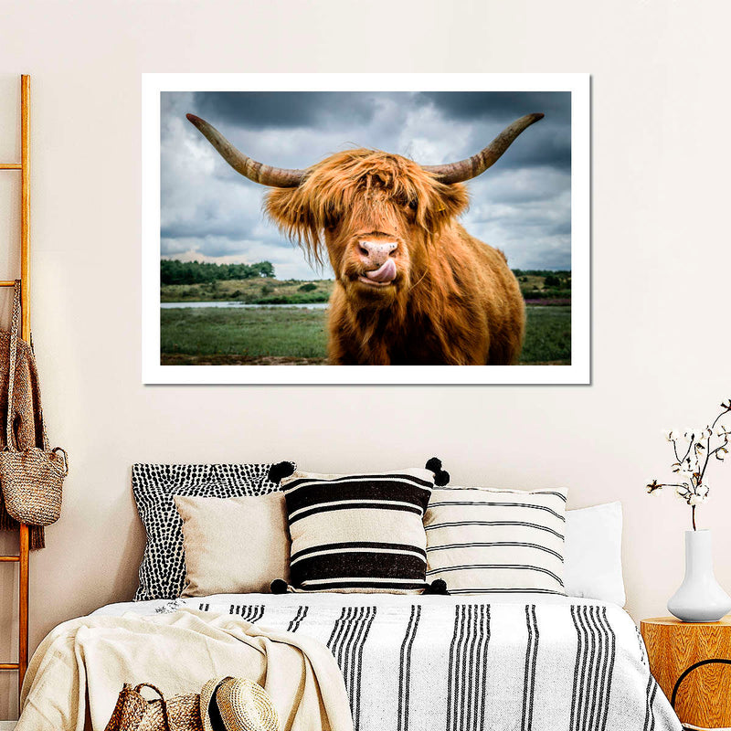 Silly Highland Cow Wall Art