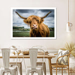 Silly Highland Cow Wall Art