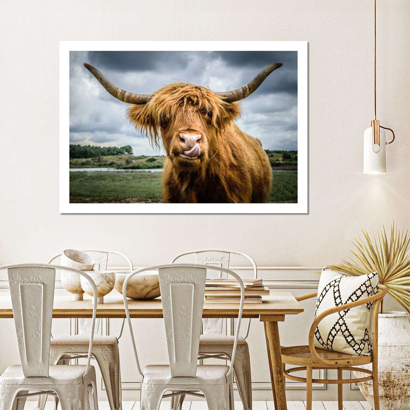 Silly Highland Cow Wall Art