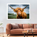Silly Highland Cow Wall Art