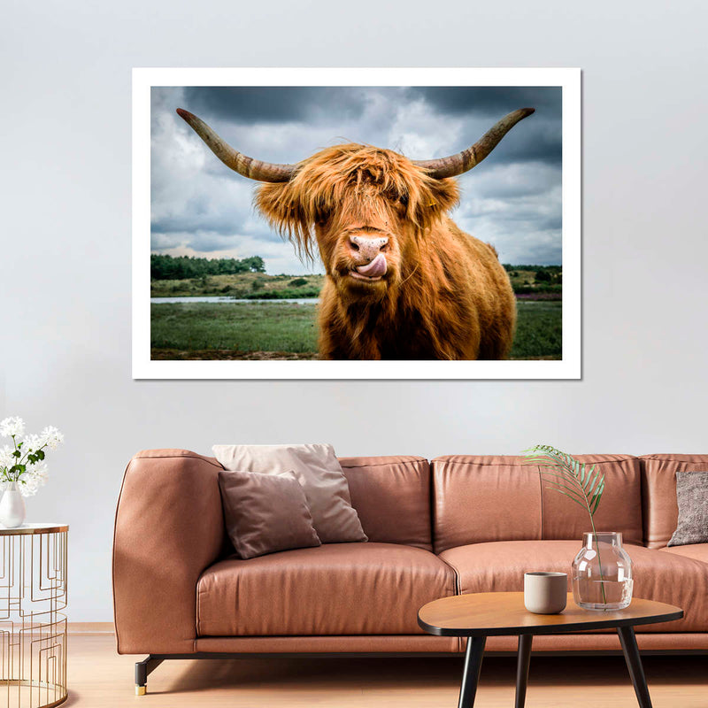 Silly Highland Cow Wall Art
