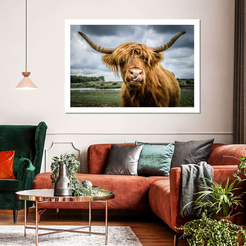 Silly Highland Cow Wall Art