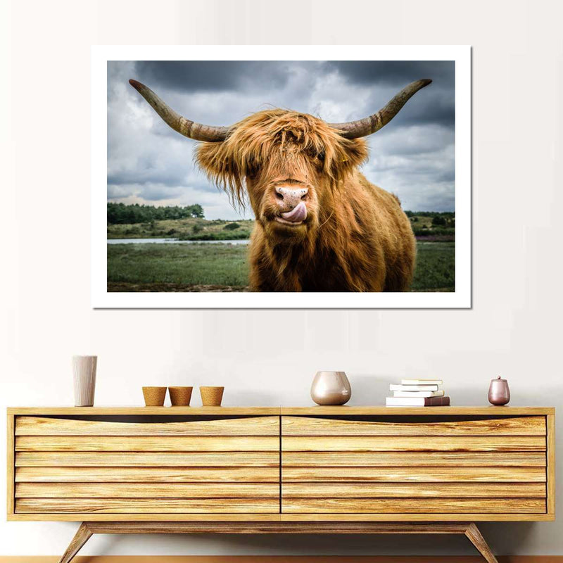 Silly Highland Cow Wall Art