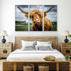 Silly Highland Cow Wall Art