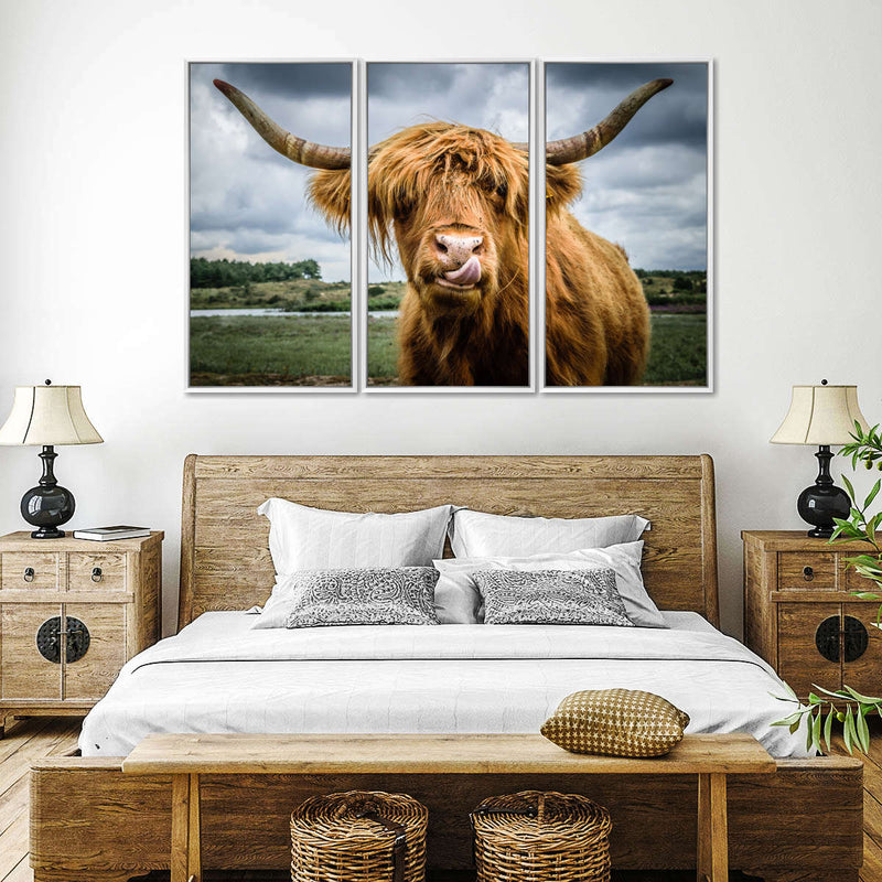 Silly Highland Cow Wall Art