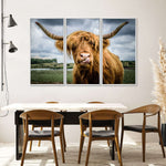 Silly Highland Cow Wall Art