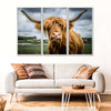 Silly Highland Cow Wall Art