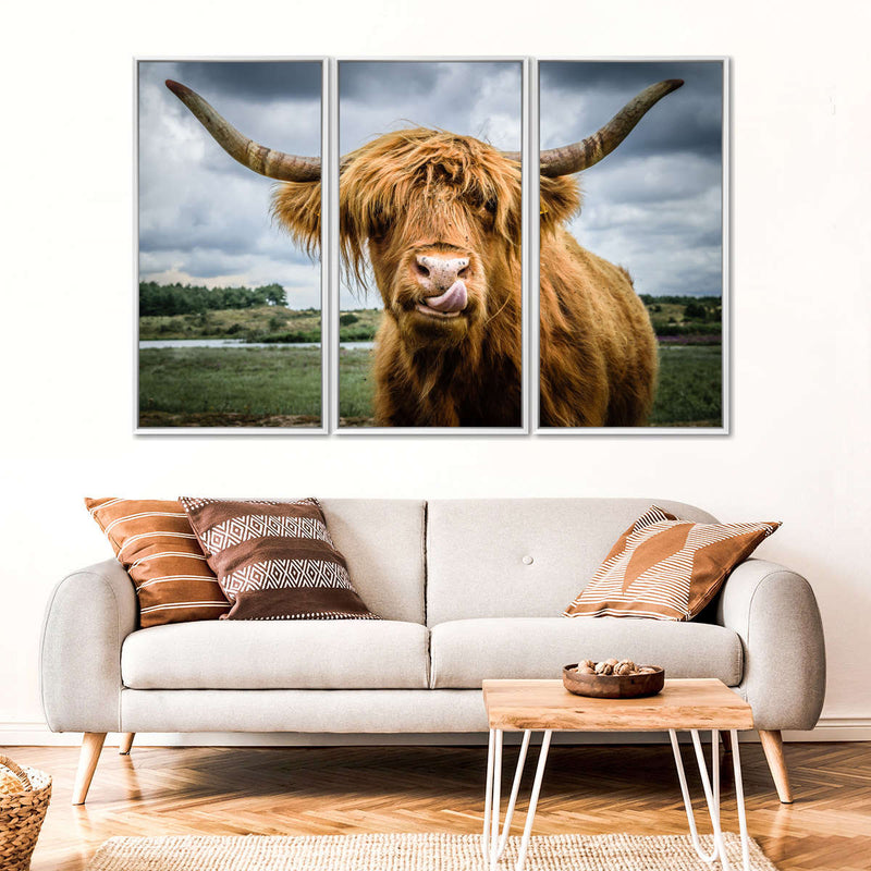 Silly Highland Cow Wall Art