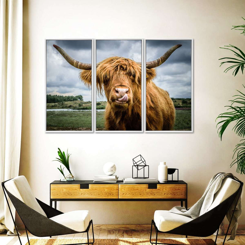 Silly Highland Cow Wall Art