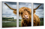 Silly Highland Cow Wall Art
