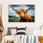 Silly Highland Cow Wall Art