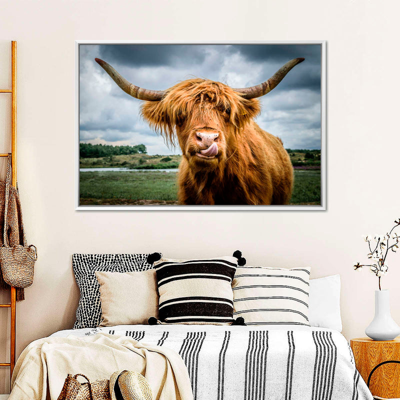 Silly Highland Cow Wall Art