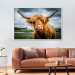 Silly Highland Cow Wall Art