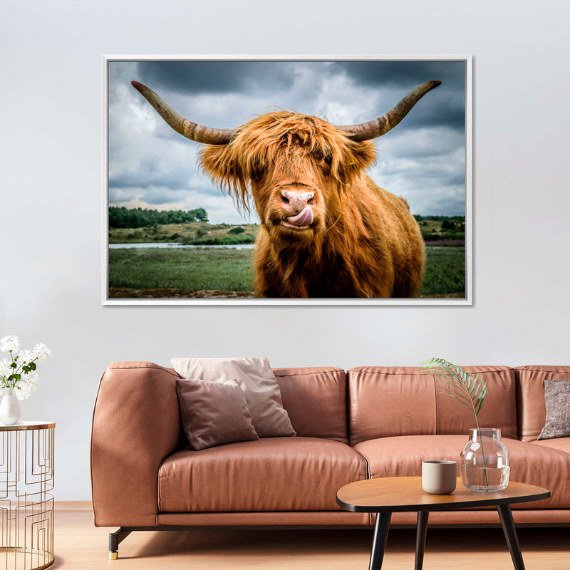 Silly Highland Cow Wall Art