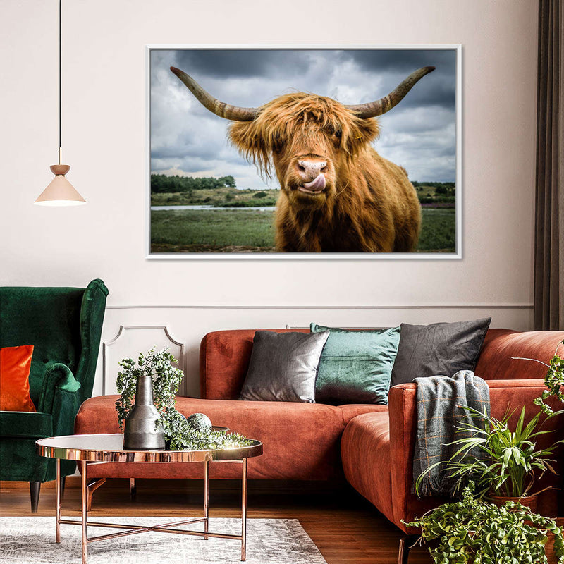 Silly Highland Cow Wall Art