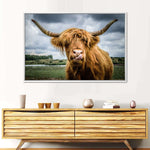 Silly Highland Cow Wall Art