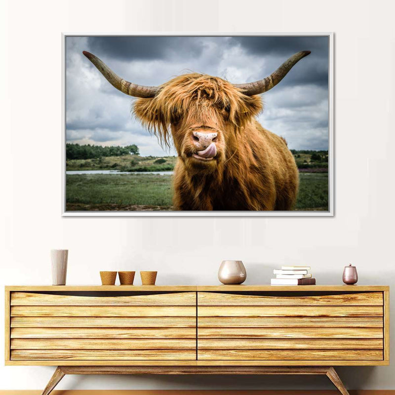 Silly Highland Cow Wall Art