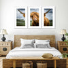 Silly Highland Cow Wall Art