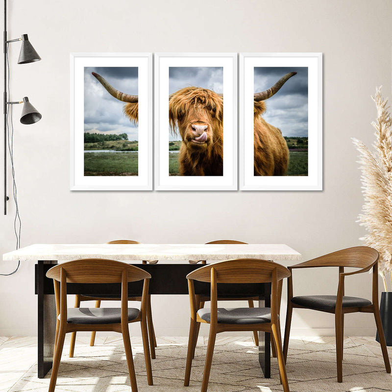 Silly Highland Cow Wall Art