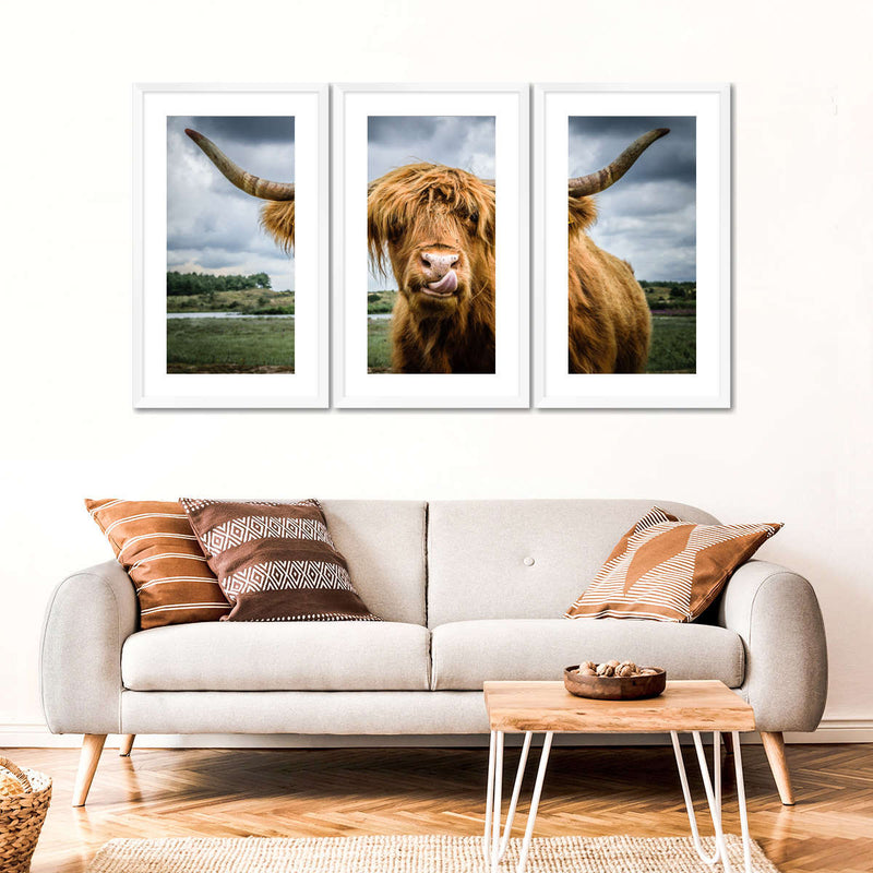 Silly Highland Cow Wall Art