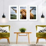 Silly Highland Cow Wall Art