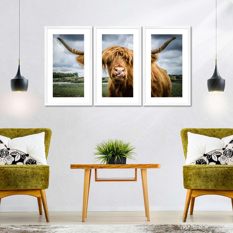 Silly Highland Cow Wall Art