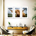 Silly Highland Cow Wall Art