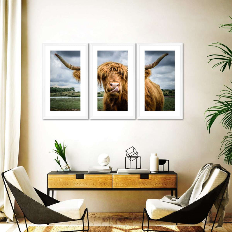 Silly Highland Cow Wall Art
