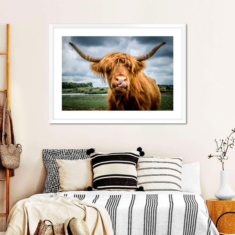 Silly Highland Cow Wall Art