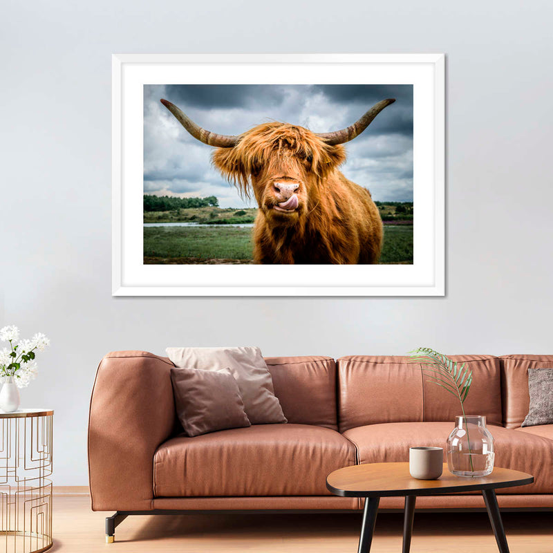 Silly Highland Cow Wall Art