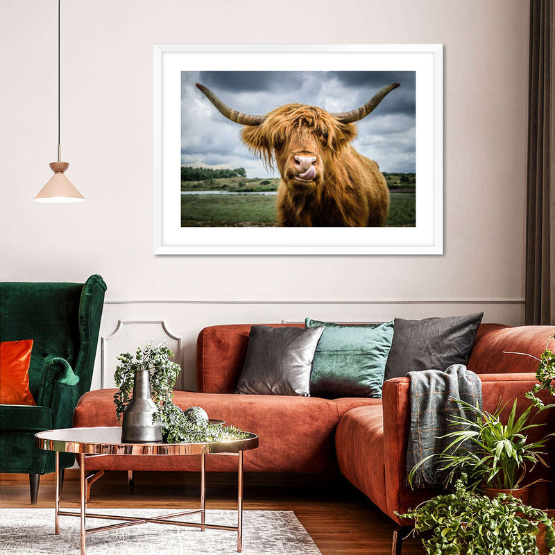 Silly Highland Cow Wall Art