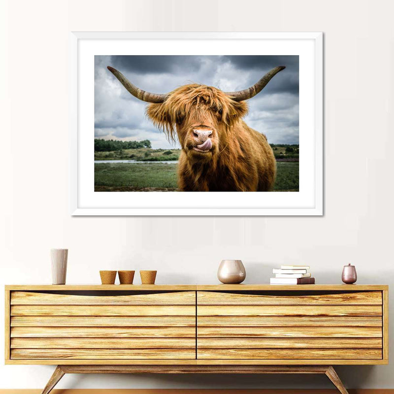 Silly Highland Cow Wall Art