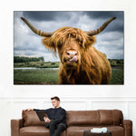 Silly Highland Cow Wall Art