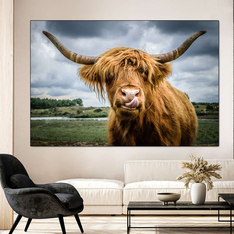 Silly Highland Cow Wall Art