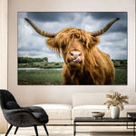 Silly Highland Cow Wall Art