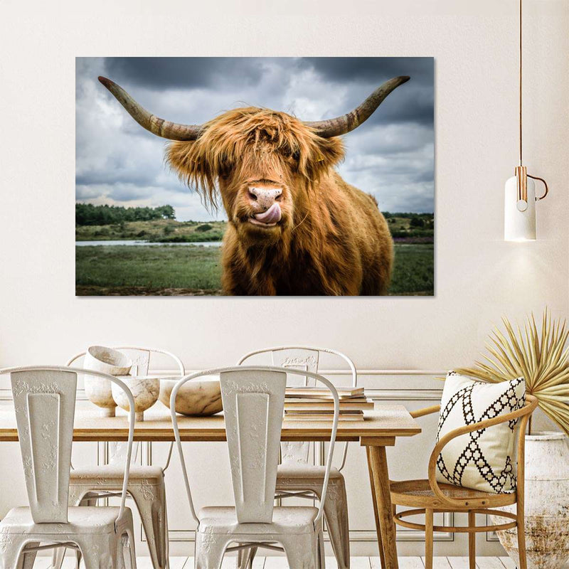 Silly Highland Cow Wall Art