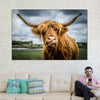 Silly Highland Cow Wall Art