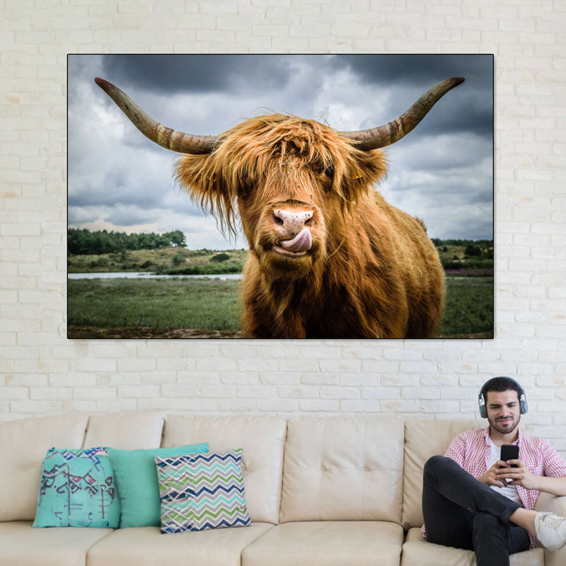 Silly Highland Cow Wall Art