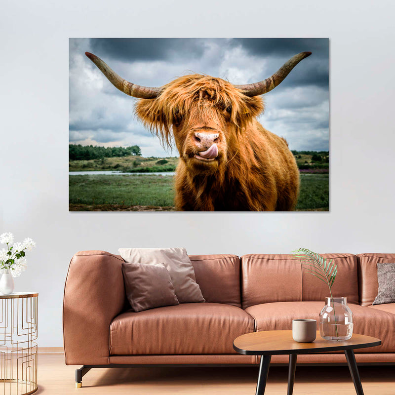 Silly Highland Cow Wall Art