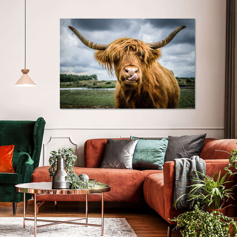 Silly Highland Cow Wall Art