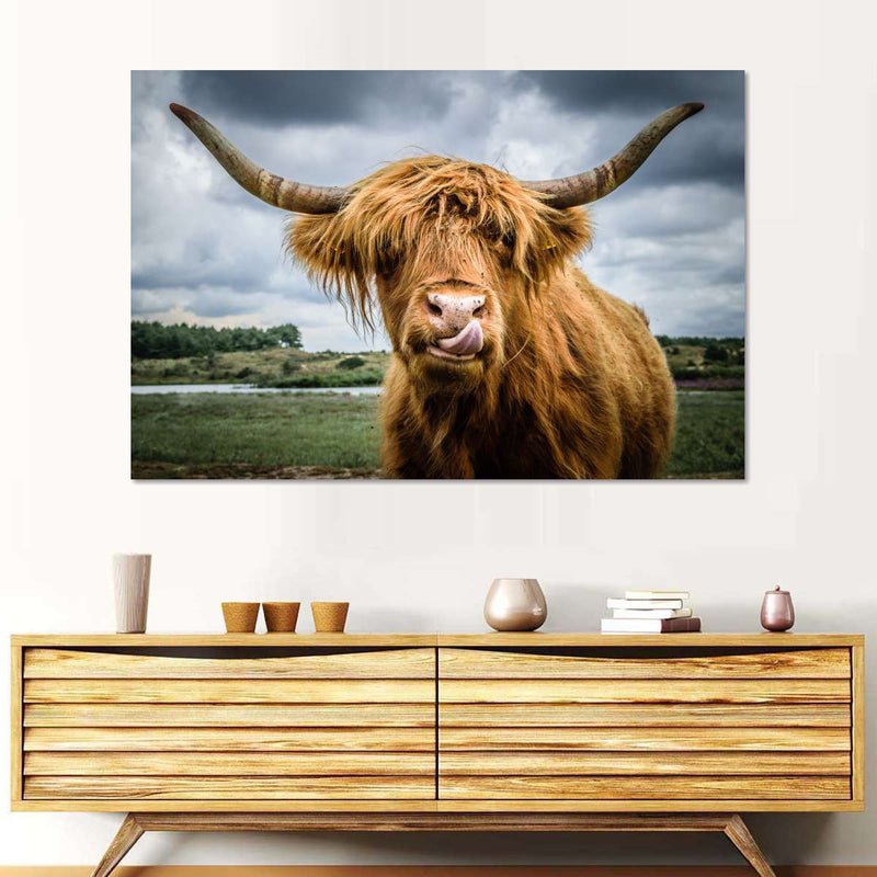 Silly Highland Cow Wall Art